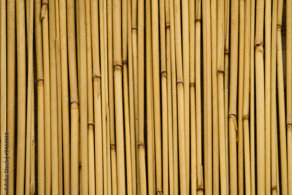 Naklejka premium background of bamboo sticks