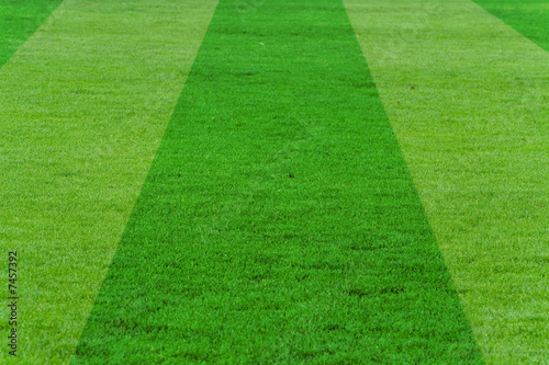 soccer field for background use