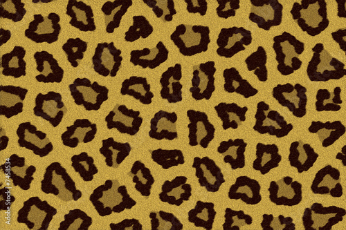 Texture leopardo photo