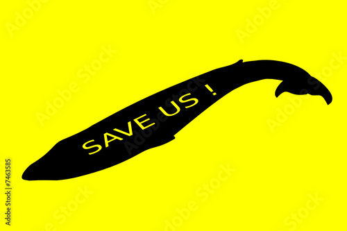 Save the whales !