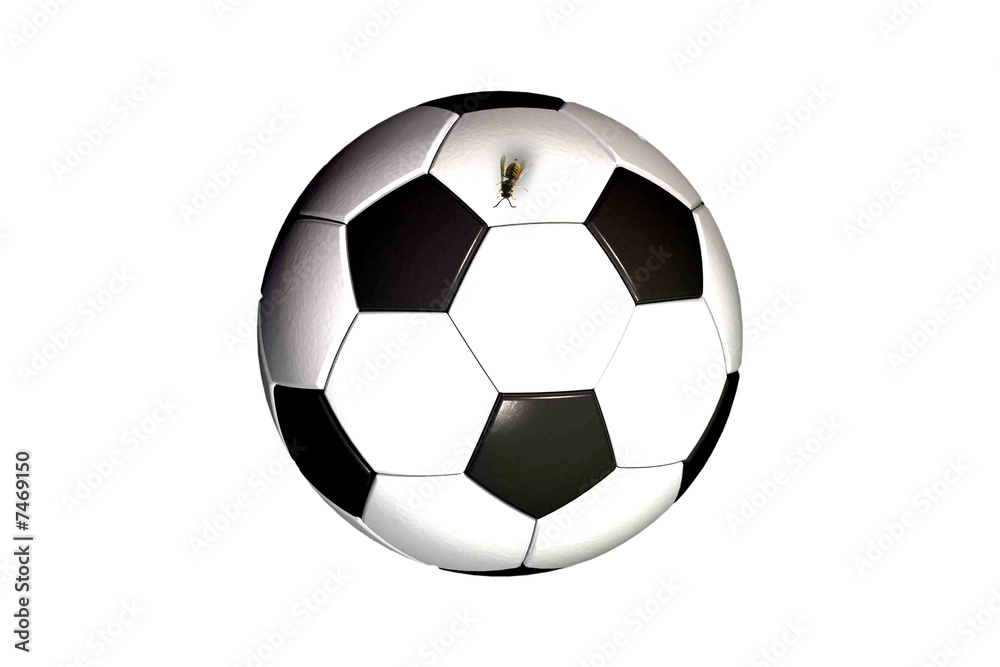 fußball mit wespe fußball mit wespe
