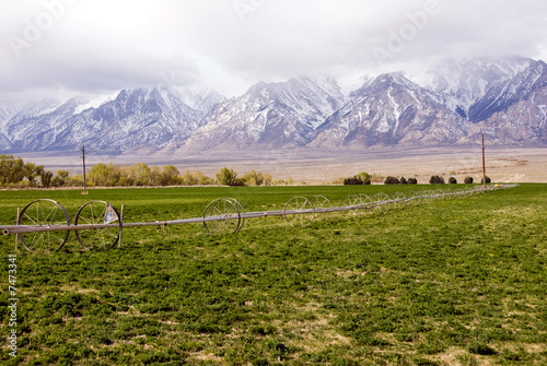 Irrigating The Field