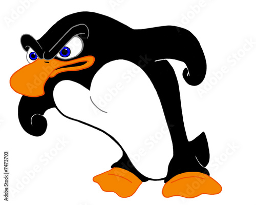 Fototapet Angry Penguin