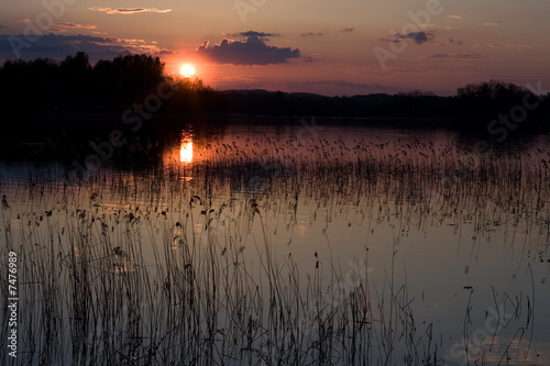 Sunset by the rushy lake