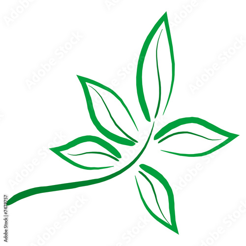 Leaf