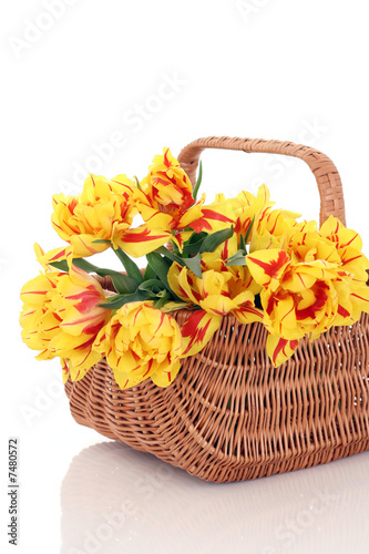 basket of tulips