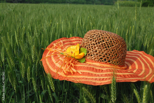 sunbonnet on wheat straws