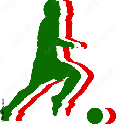 Italy soccer flag