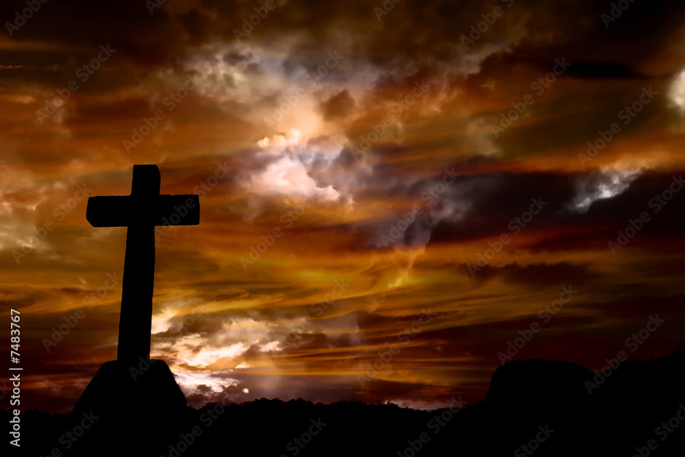cross cross
