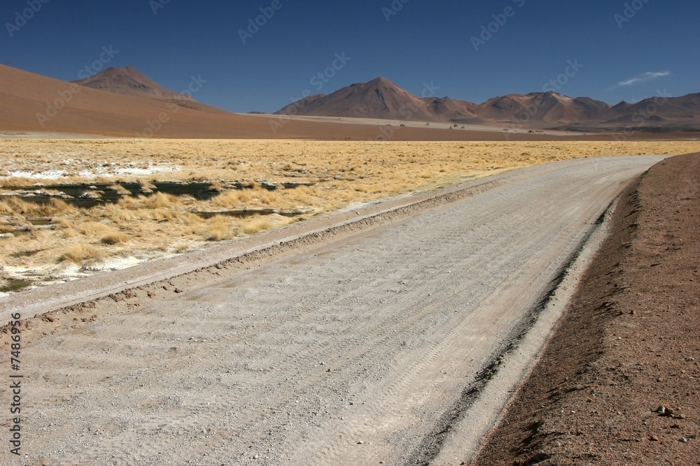 Altiplano road