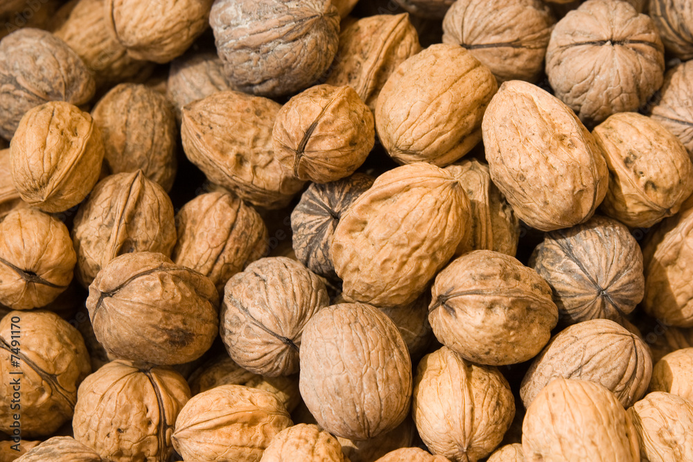 nueces