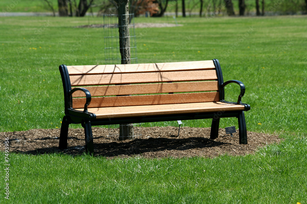 Wooden bench in the park