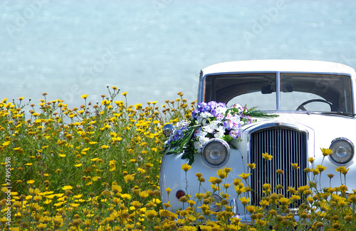 Auto im Blumenmeer