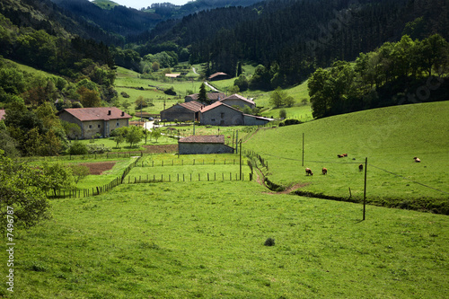Valle en el Pais Vasco 3 photo