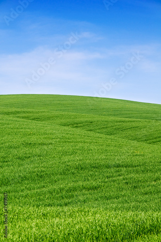 Rolling green hills and blue sky. Tuscany landscape, Italy.