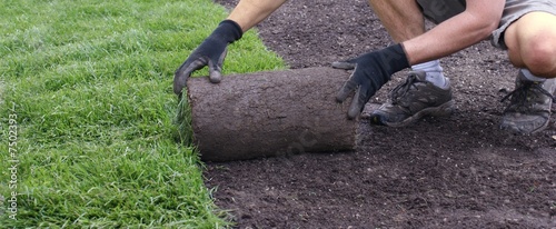 laying sod