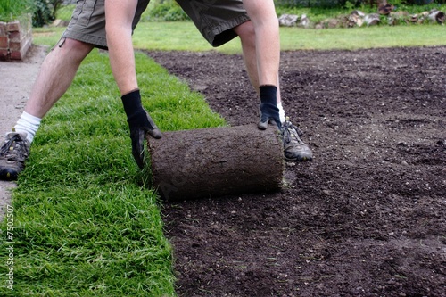 laying grass