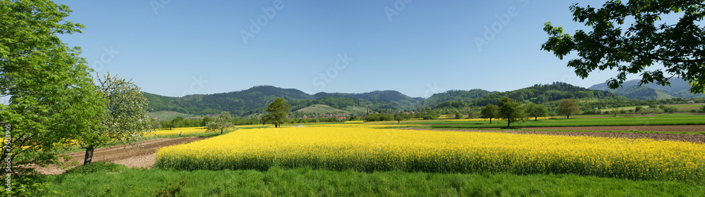 Ohlsbach - Schwarzwald