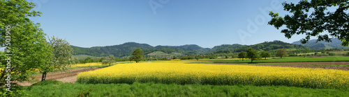Ohlsbach - Schwarzwald
