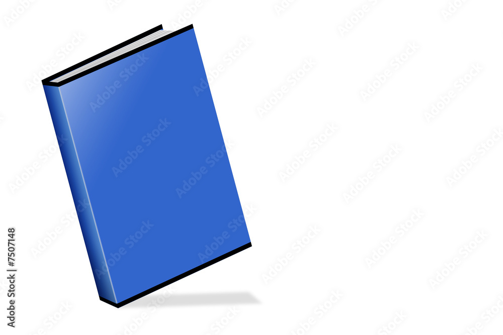 Blue book