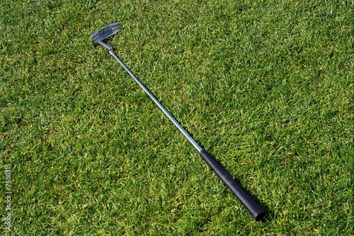 Obraz na plátně Golf club lying in the grass.