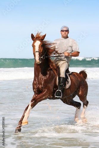 Horse riding in sea