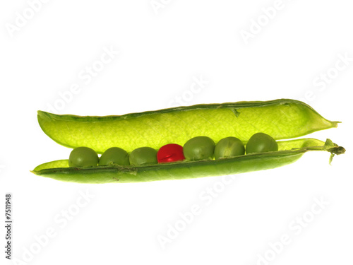 Peas in a pod - individuality concept