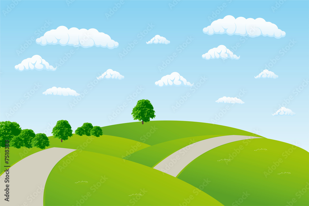 Obraz premium Summer landscape