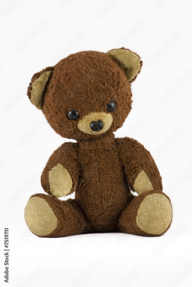Obraz premium sweet bear