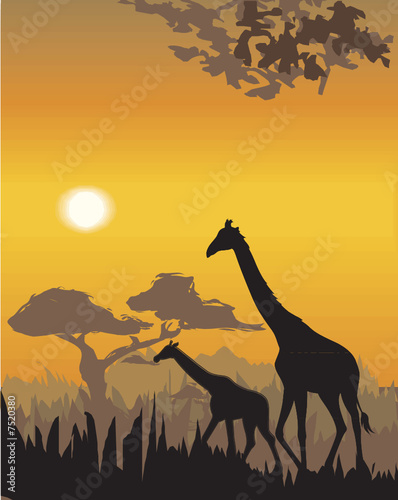 Vector evening illustration with wild animals