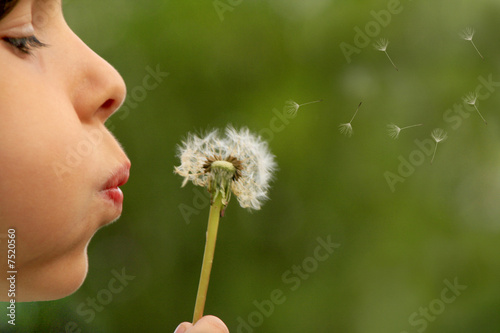 child blowing dandelion clock