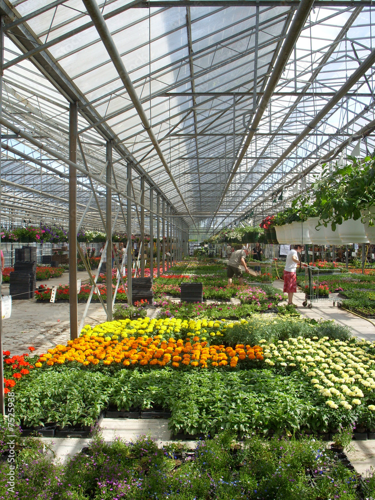 Naklejka premium horticulture