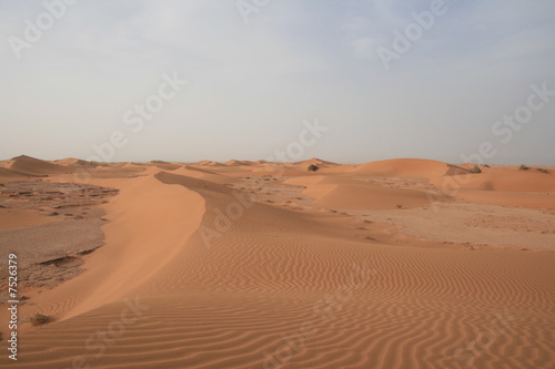 Dunes dans le Sahara  Maroc