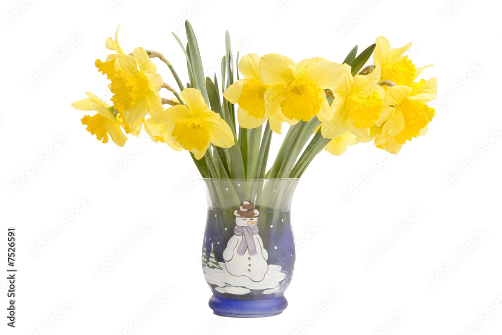 Obraz premium Pretty yellow daffodils isolated on white background 