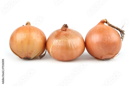 Wallpaper Mural Head of fresh onions Torontodigital.ca