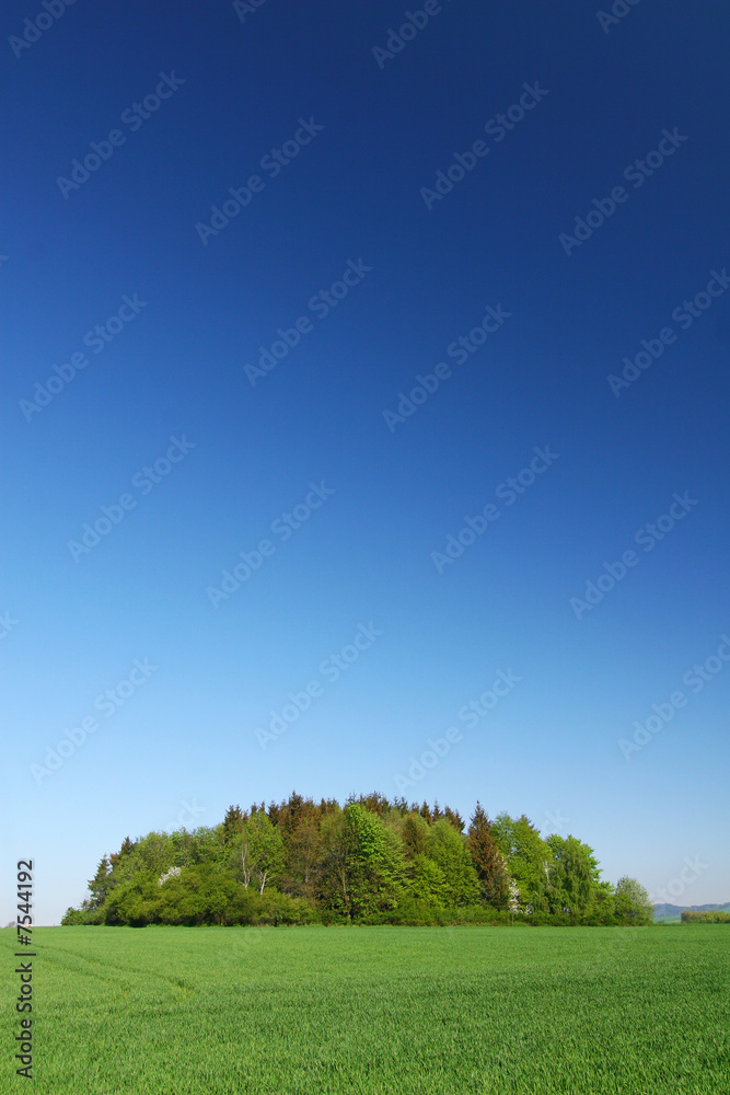Spring countryside with field, trees and blue sky