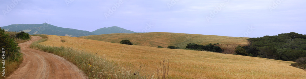 Strada di campagna Sardegna