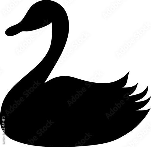Schwan