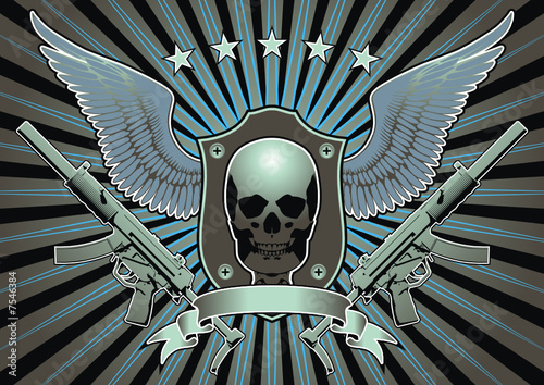 Insignia with skull, machine gun and wings.