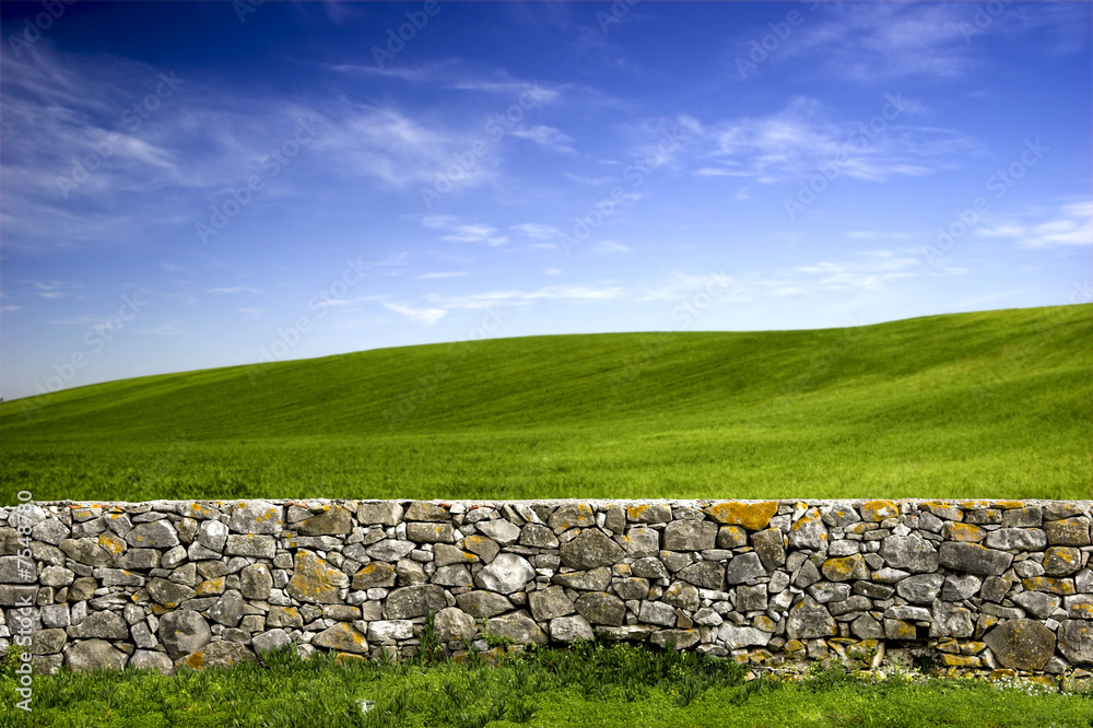 Naklejka premium Stone wall