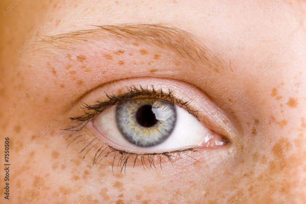 Naklejka premium Auge