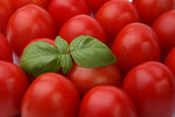 Tomatoes and basil 