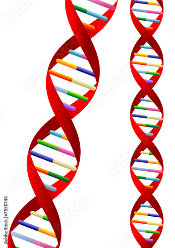 DNA helix representation isolated over white background