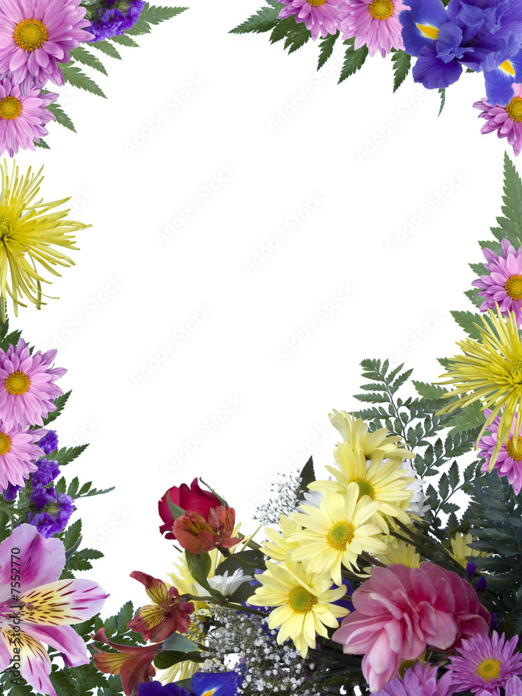 Floral Frame Floral Frame