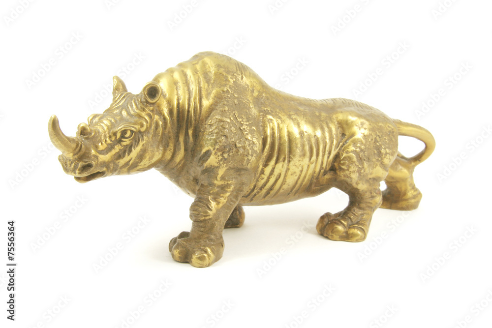 Rhinoceros Rhinoceros