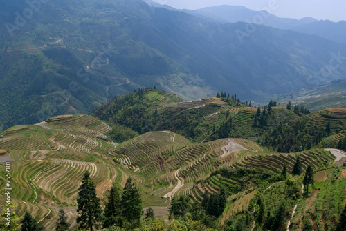 Zhuang Terraces scenic area view © Yory Frenklakh