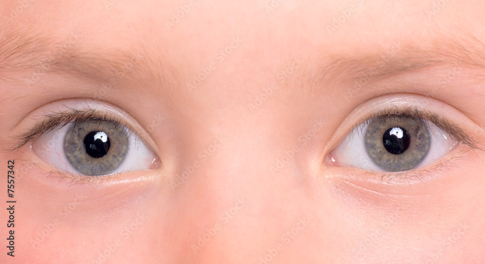 Fototapeta premium Eyes close-up
