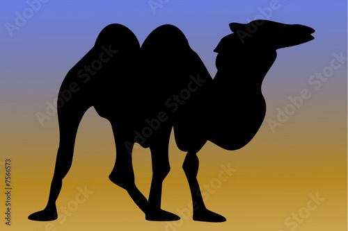 Camel with backround