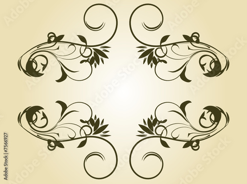 vintage floral frame