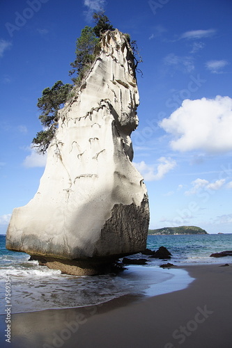 Cathedral Cove Beach photo